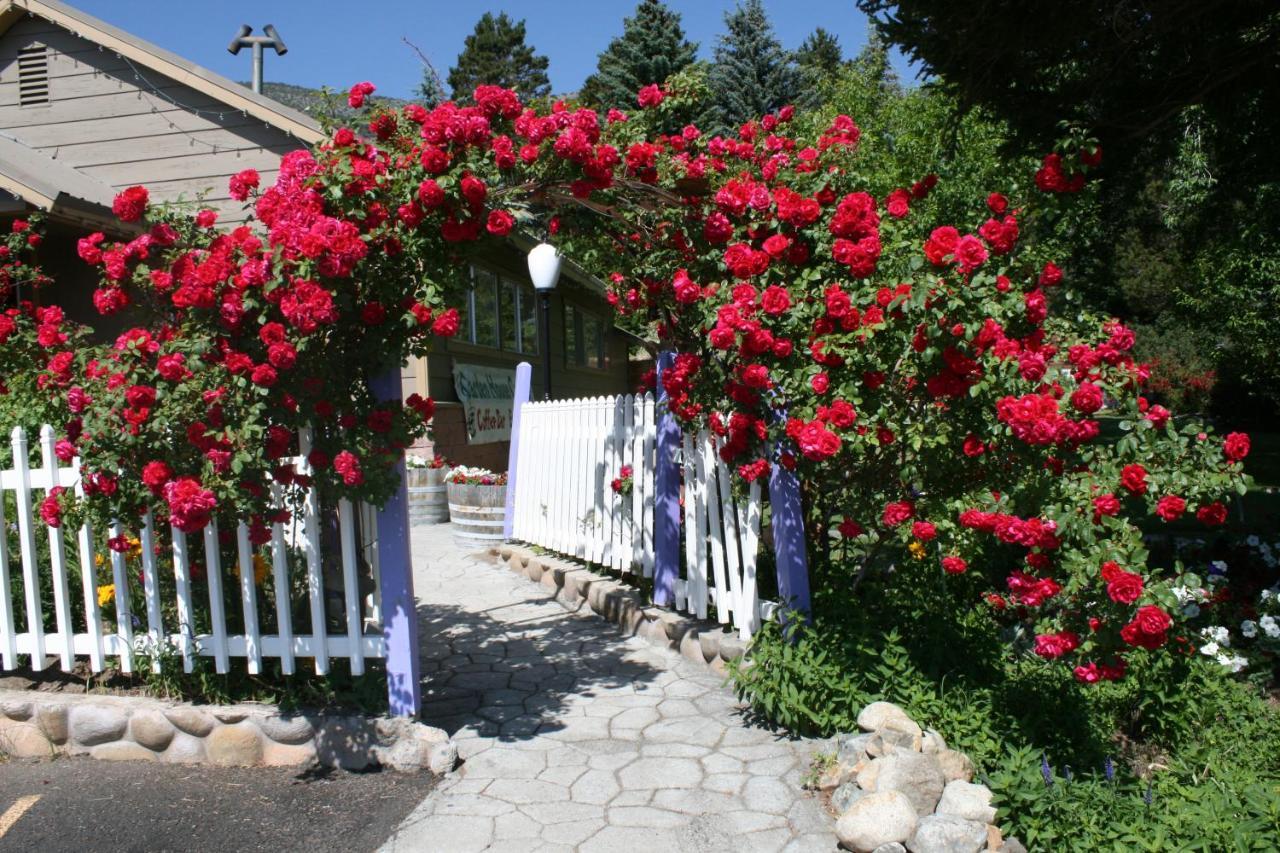 Lake View Lodge Lee Vining Exterior photo